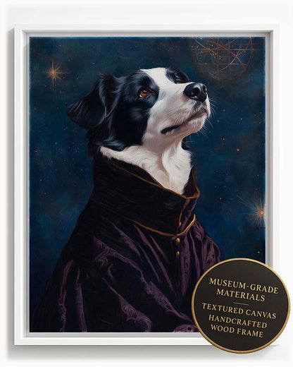 Wagwag Art Renaissance astronomer style custom pet portrait – Border Collie in dark velvet robe with celestial map backdrop and thoughtful expression, shown in white frame

